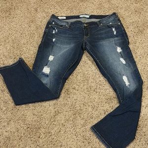 Torrid Boyfriend Jeans